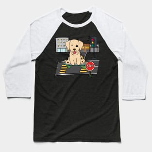 Funny golden retriever is on a skateboard Baseball T-Shirt